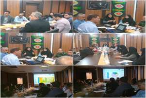 برگزاری ستاد جوانی جمعیت در فرمانداری سروستان